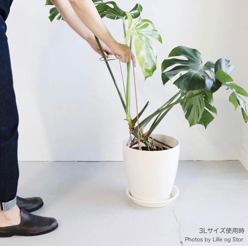 plant prop